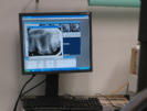 Digitales Zahnröntgen Hund auf Bildschirm