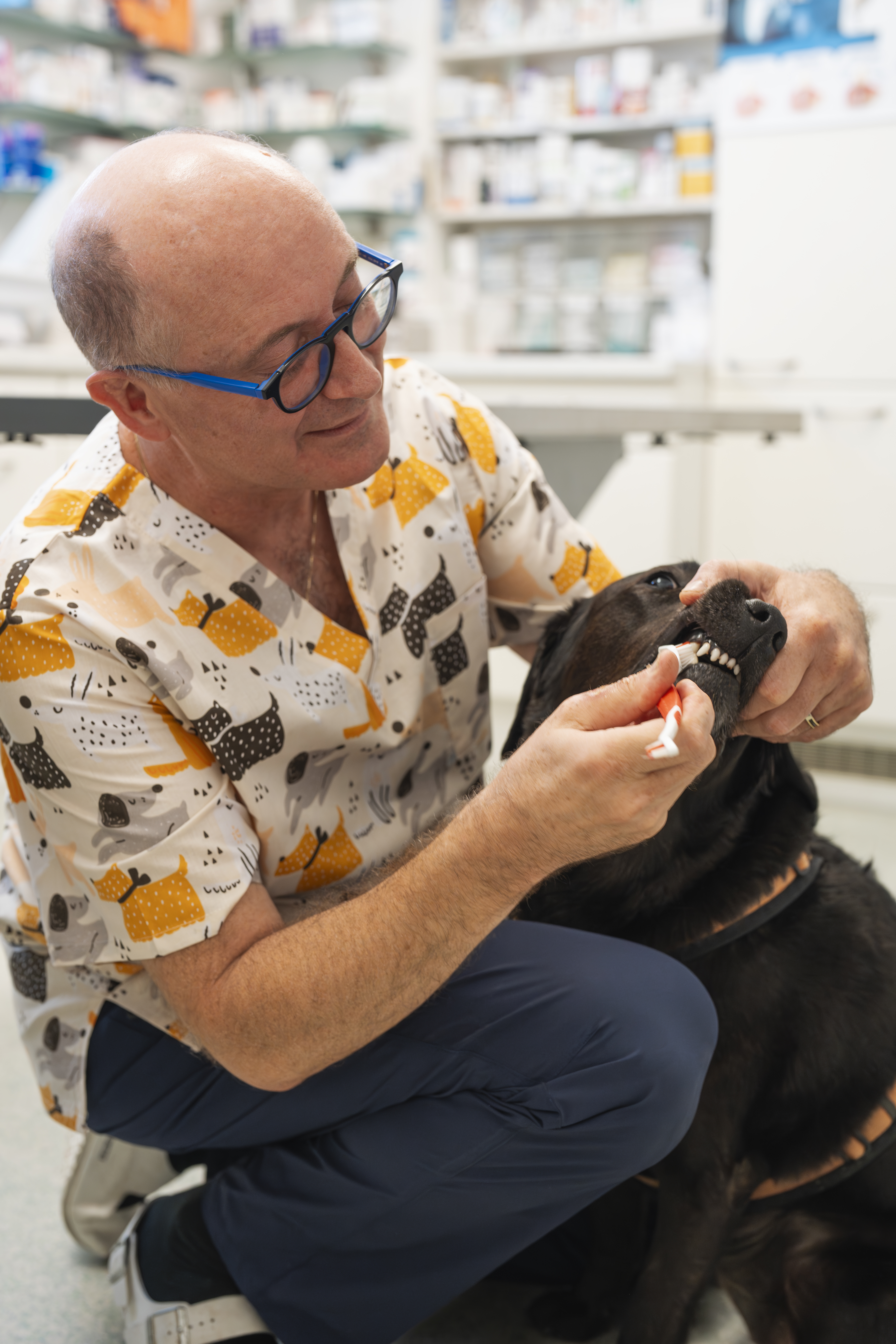 Dr. Gerhard Biberauer mit Hund